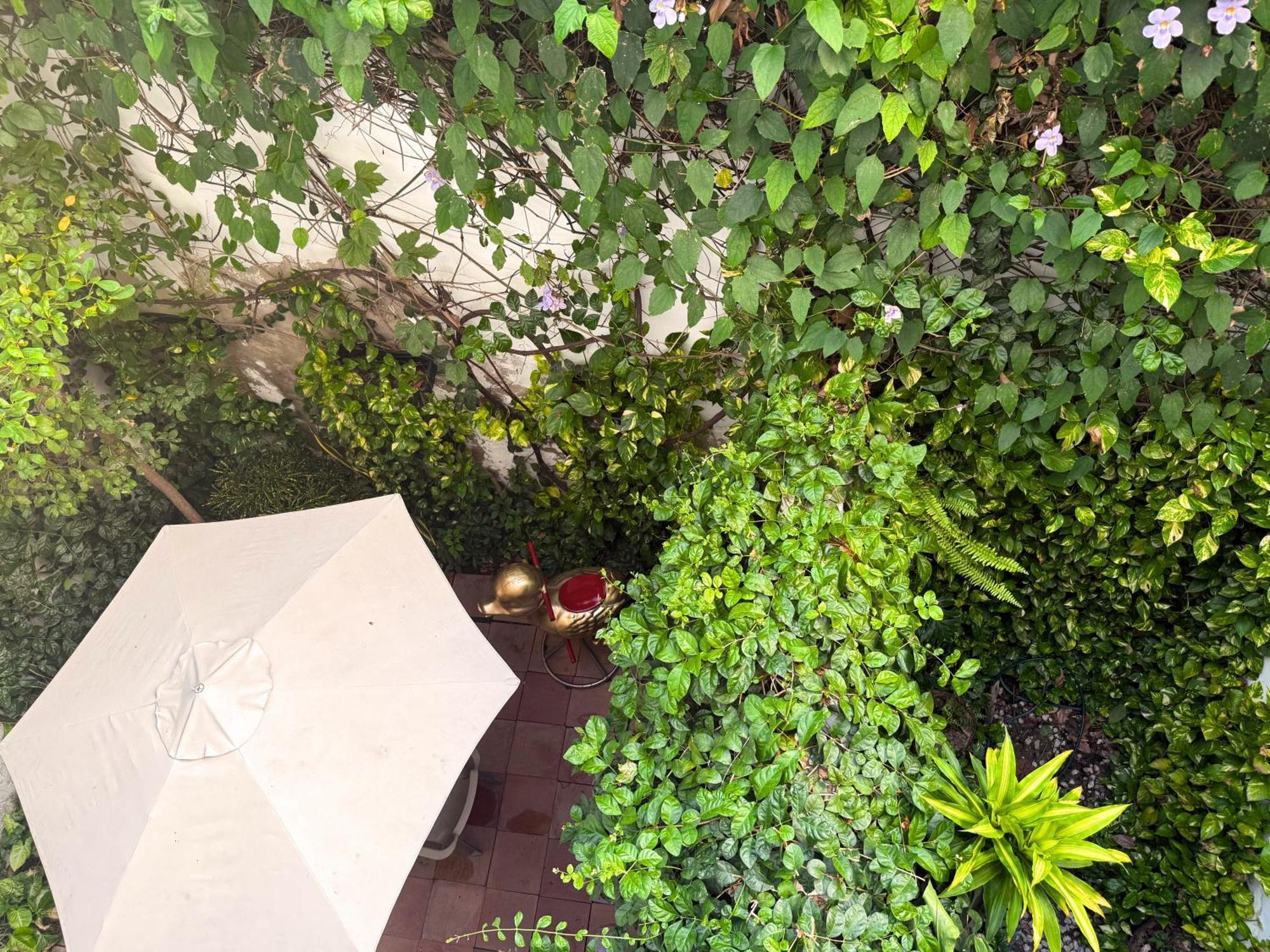 Casa Bugambilia - Alma Hotels Santa Marta  Ngoại thất bức ảnh